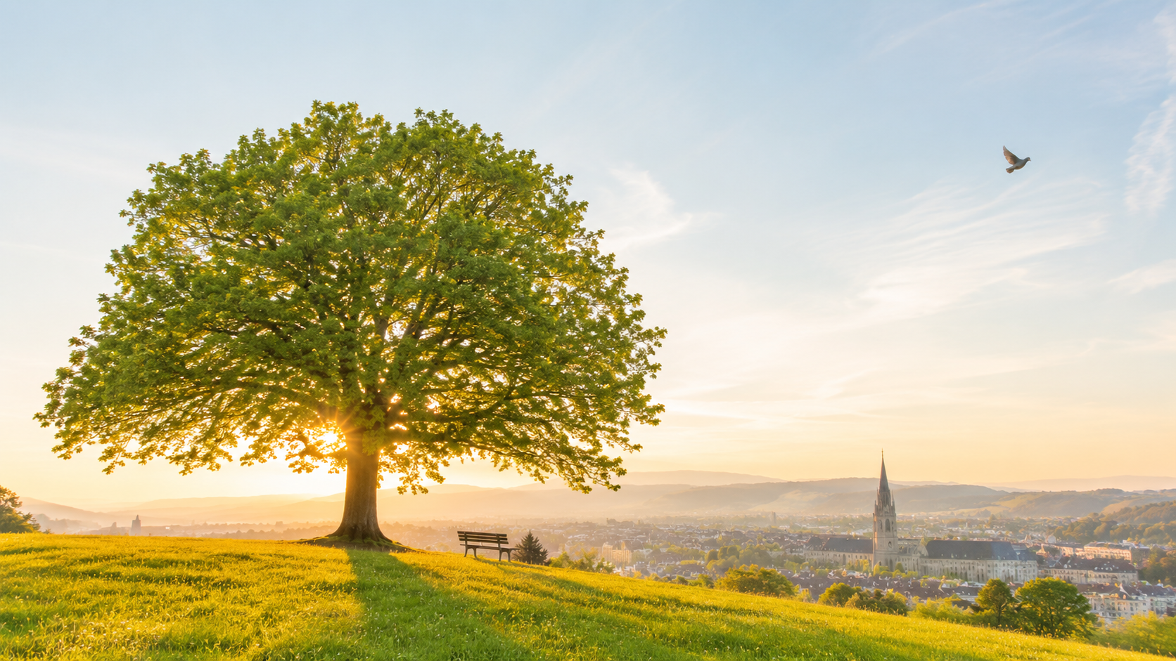 Lone tree on a hill overlooking Bern, a dove in the sky
